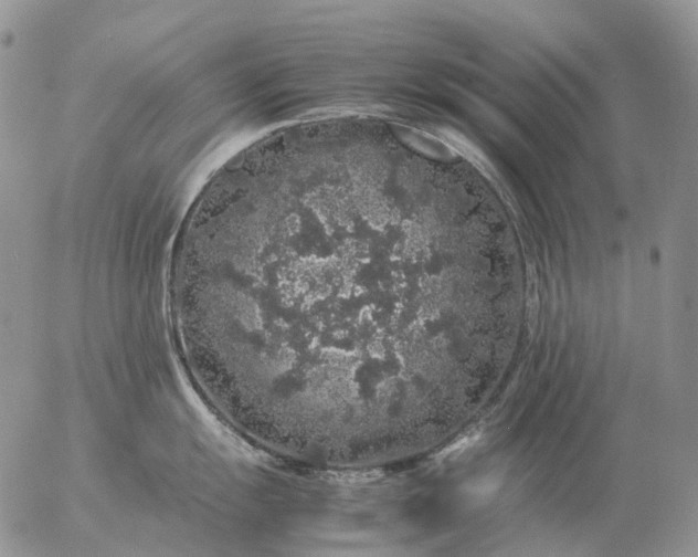 X0000057101055200509231711