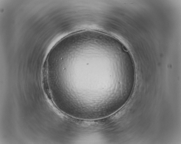 X0000057101056200509231711