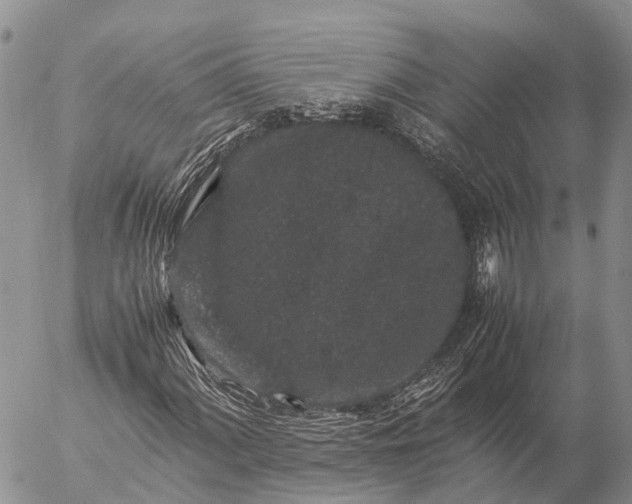 X0000057101060200509231710