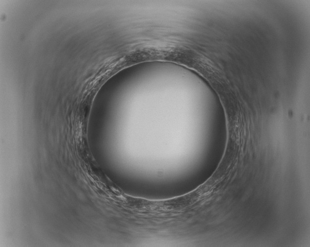 X0000057101061200509231710