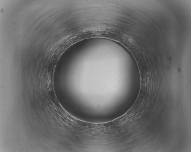 X0000057101062200509231710