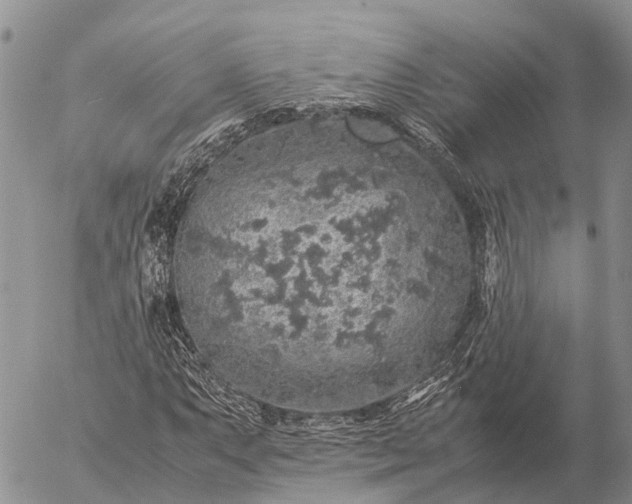 X0000057101063200509231710