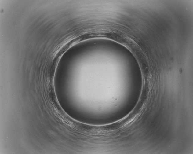 X0000057101065200509231710