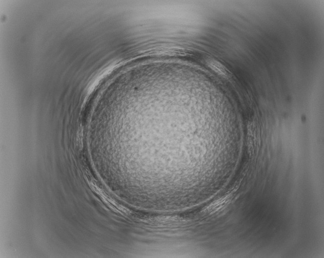 X0000057101067200509231710