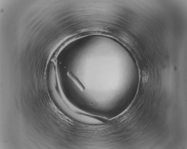 X0000057101068200509231710