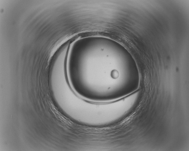 X0000057101069200509231710