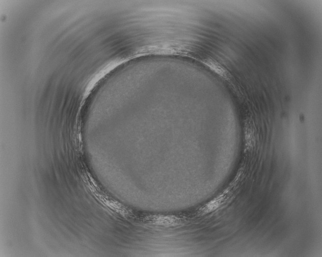 X0000057101070200509231710