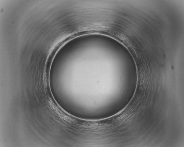 X0000057101072200509231710