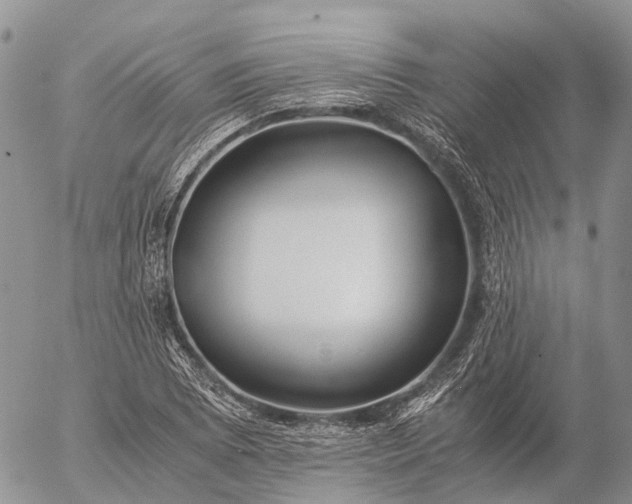 X0000057101073200509231710