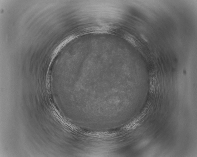 X0000057101074200509231710