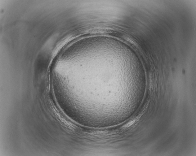 X0000057101075200509231710