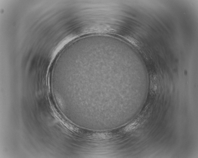 X0000057101078200509231710