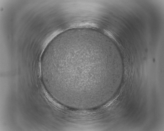 X0000057101079200509231710