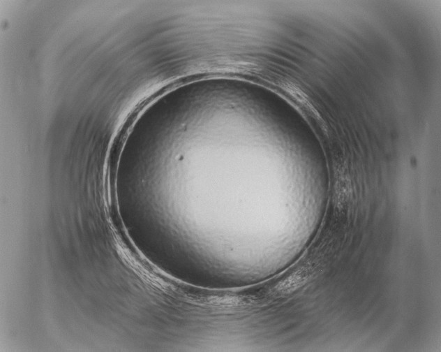 X0000057101080200509231709