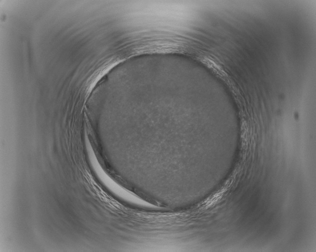 X0000057101081200509231709