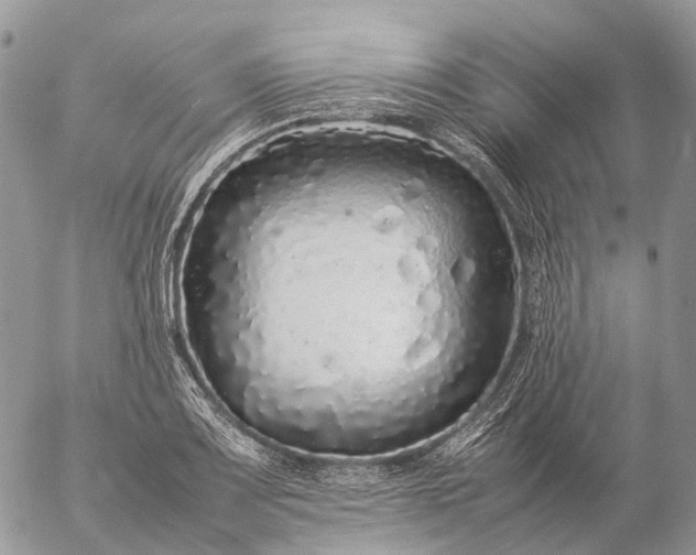 X0000057101083200509231709