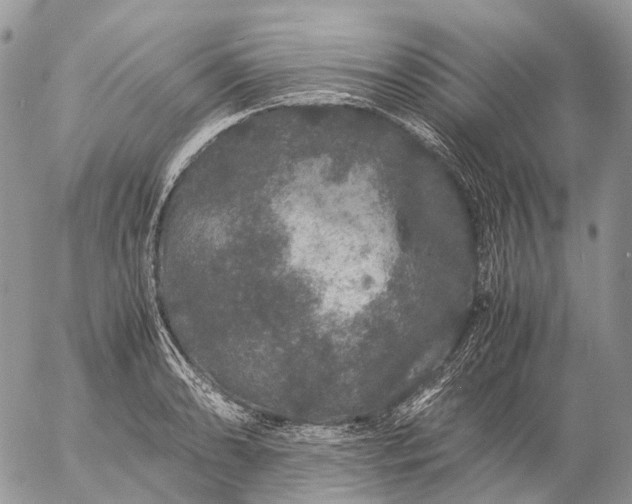 X0000057101086200509231709