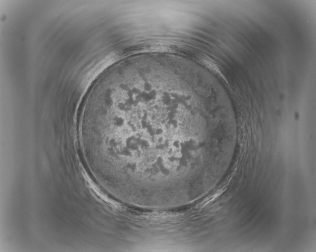 X0000057101087200509231709