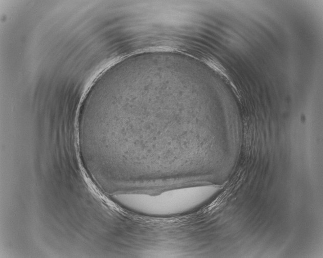 X0000057101088200509231709