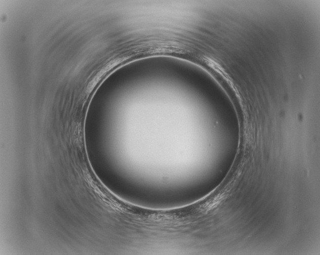 X0000057101089200509231709