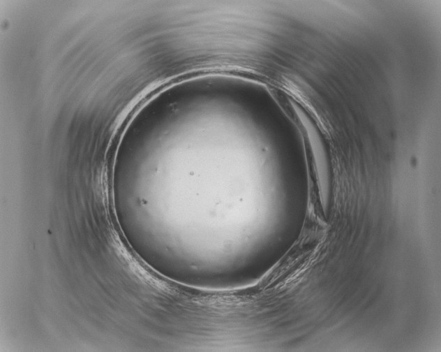 X0000057101092200509231709