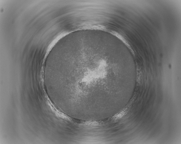 X0000057101094200509231709