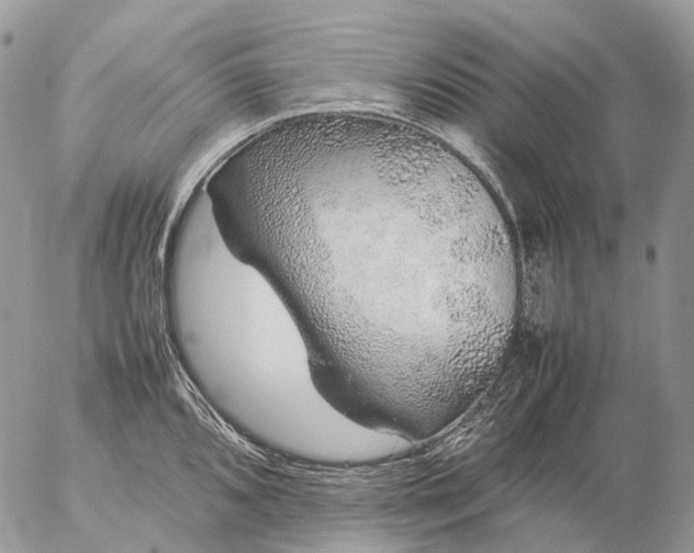 X0000057101096200509231709