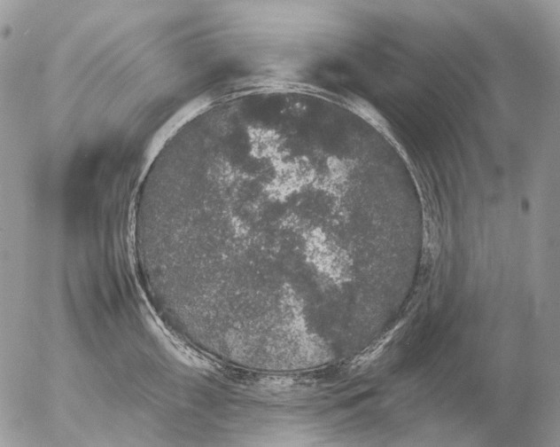 X0000057101098200509231709