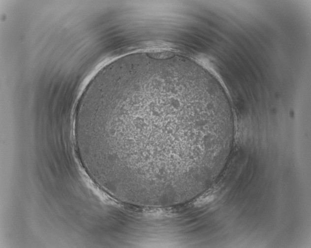 X0000057101099200509231709