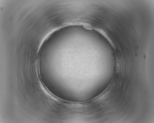 X0000057101100200509231709