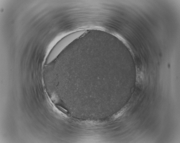 X0000057101102200509231709