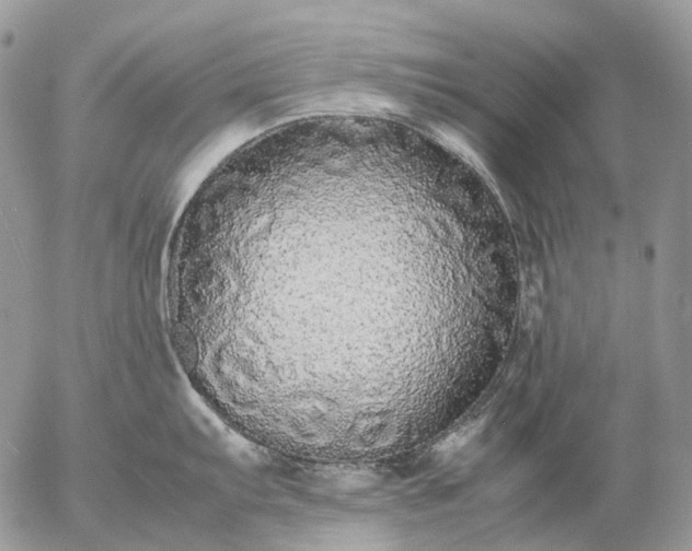 X0000057101103200509231709