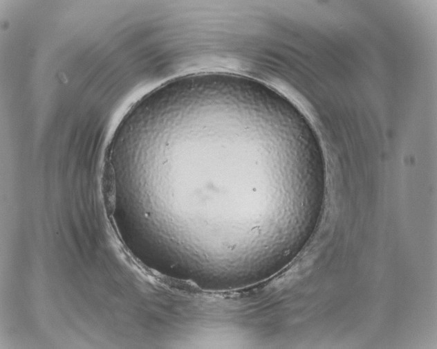 X0000057101104200509231709