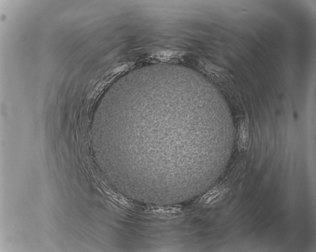 X0000057101105200509231708