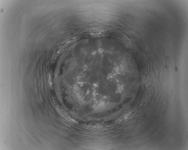 X0000057101106200509231708