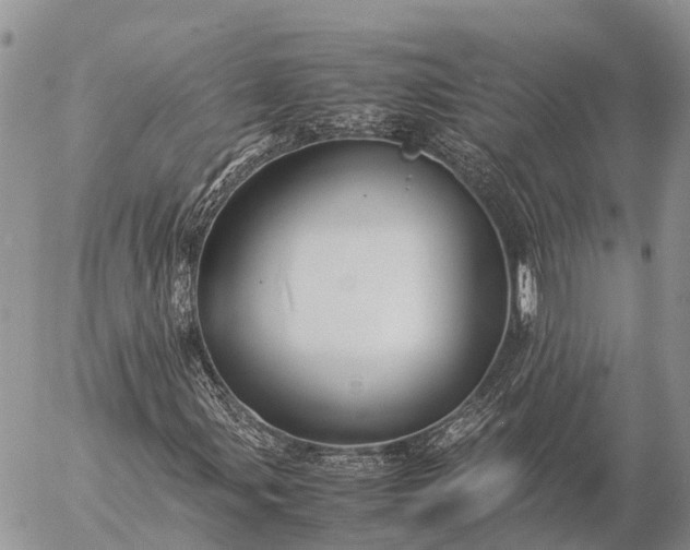 X0000057101107200509231708