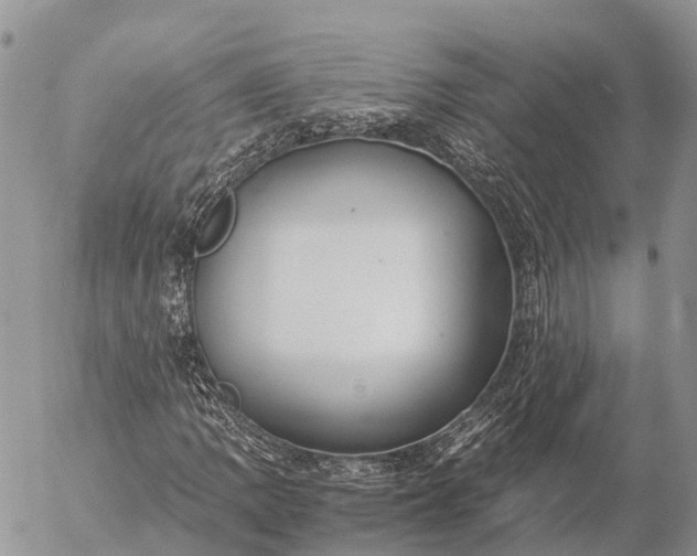 X0000057101109200509231708