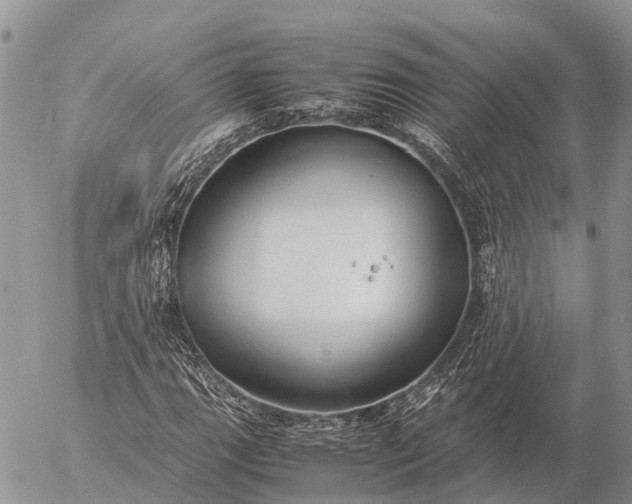 X0000057101111200509231708