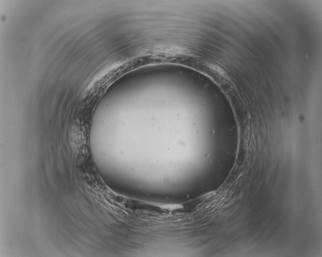 X0000057101112200509231708