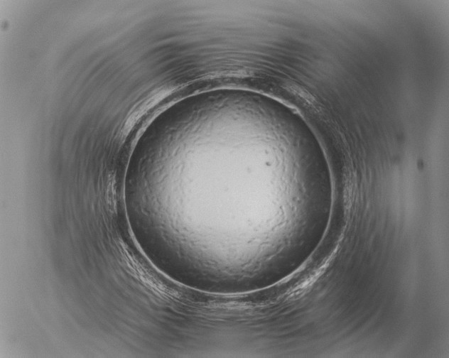 X0000057101113200509231708