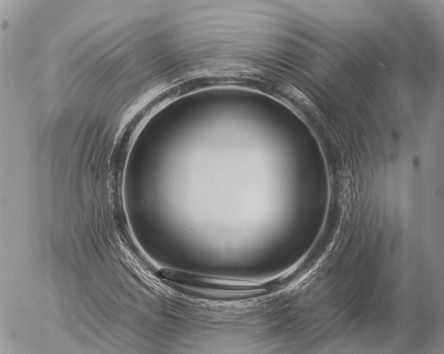 X0000057101114200509231708