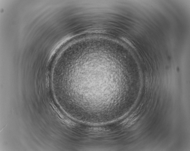 X0000057101115200509231708