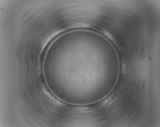 X0000057101116200509231708