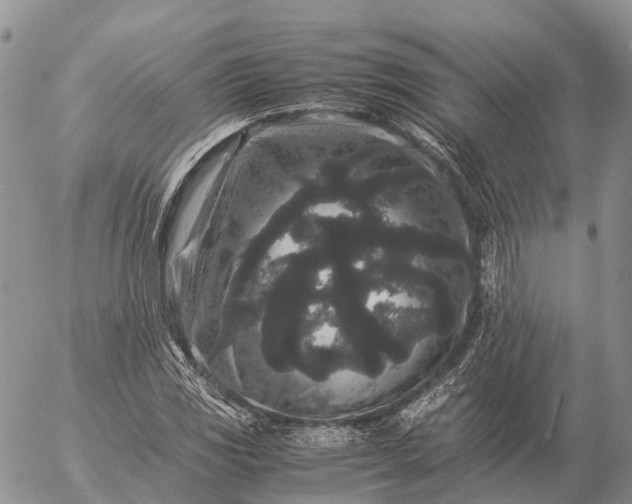 X0000057101117200509231708