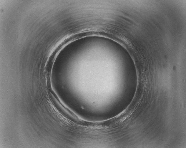 X0000057101118200509231708