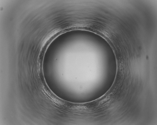 X0000057101119200509231709