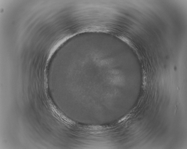 X0000057101120200509231709