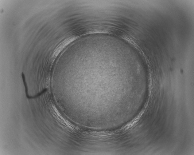 X0000057101121200509231709