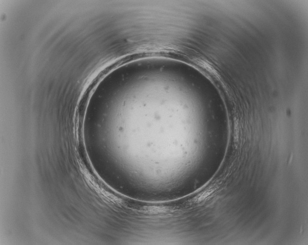 X0000057101124200509231709