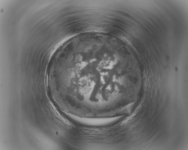 X0000057101125200509231709